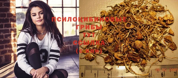 мет Новозыбков