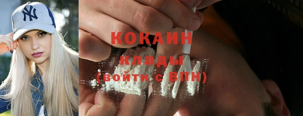 альфа пвп Новодвинск