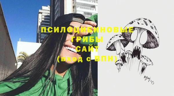 альфа пвп Новодвинск
