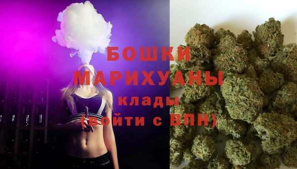 мет Новозыбков