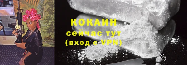 альфа пвп Новодвинск