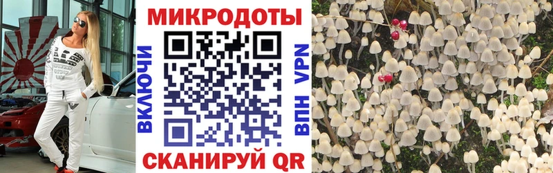 Галлюциногенные грибы Magic Shrooms  Аксай 
