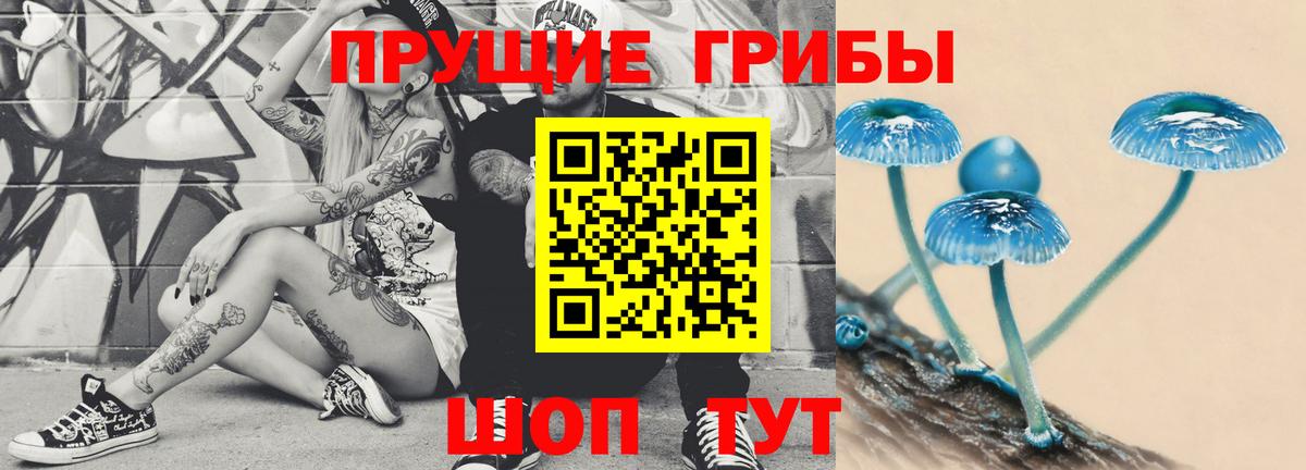 Псилоцибиновые грибы GOLDEN TEACHER  Вход с VPN  Аксай  Галлюциногенные грибы мухоморы 
